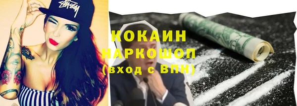 кокс Алексин