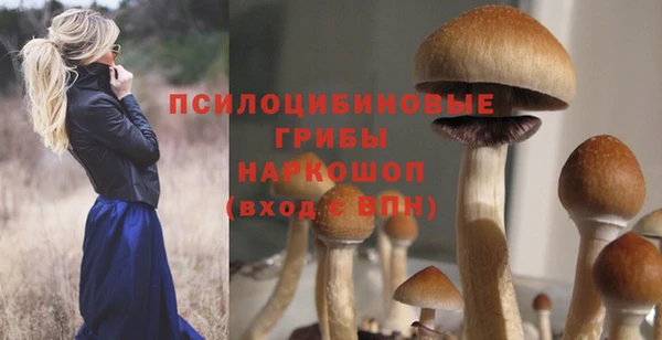 скорость Алзамай