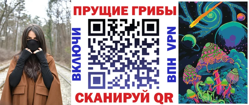 Купить закладки  Бежецк  Псилоцибиновые грибы GOLDEN TEACHER 
