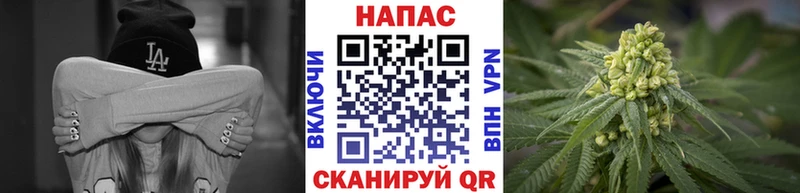 Марихуана марихуана Купить Бежецк